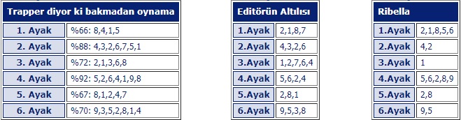 29 Nisan 2019 Pazartesi Bursa at yarışı tahminleri