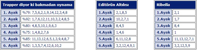 29 Temmuz 2019 Pazartesi Bursa at yarışı tahminleri