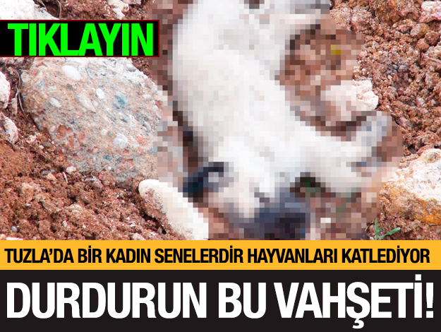 tuza köpek vahşeti