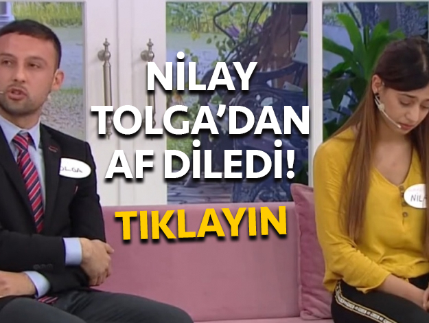 nilay tolga