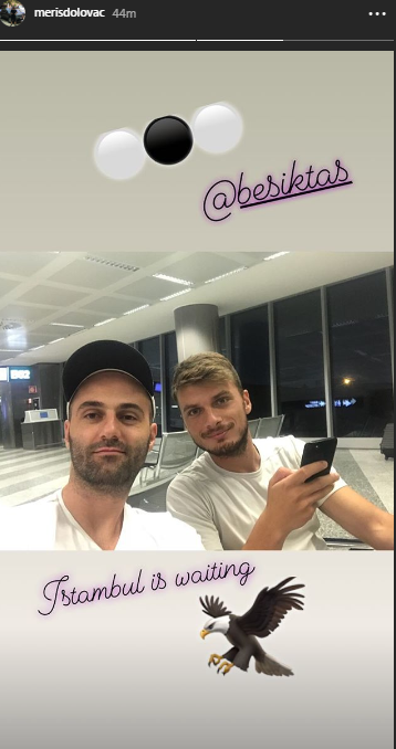 adem ljajic