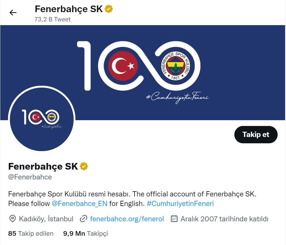 fenerbahçe sarı tik