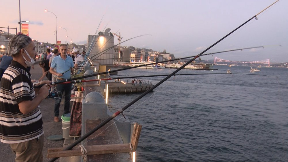 galata balık