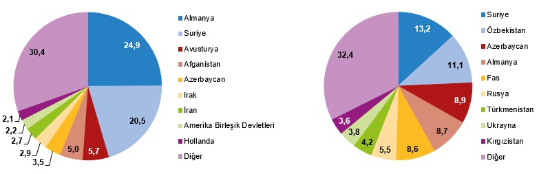 yabanci-damat-gelin